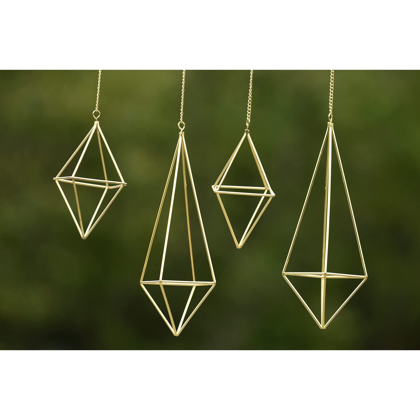 libproqia Air Plants Holders Hanging Airplants Hangers Himmeli Metal Wire 4Pcs Geometric Display Airfens Planter Frame 2 Sizes Tillandsia Holder with Chain and Hooks Decor for Home Office