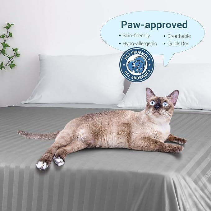 Elegear Revolutionary Cooling Blanket Queen, Absorbs Heat to Keep Body Cool for Night Sweats, Double Sided Arc-Chill3.0 Cooling Fiber Q-Max>0.5, Lightweight Summer Cold Blankets for Sleeping 79“ x 86”