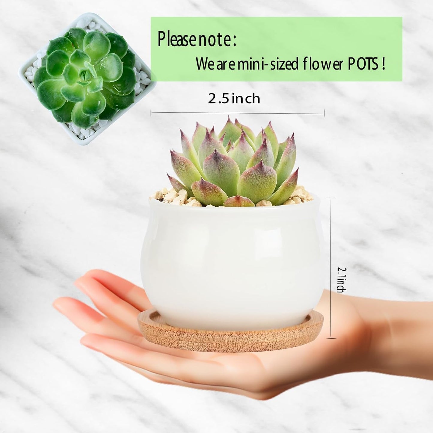 SHECIPIN Succulent Plant Pot, White Mini 2.6 inch Ceramic Flower Planter Pot with Bamboo Tray, Pack of 8 - Plants Not Included