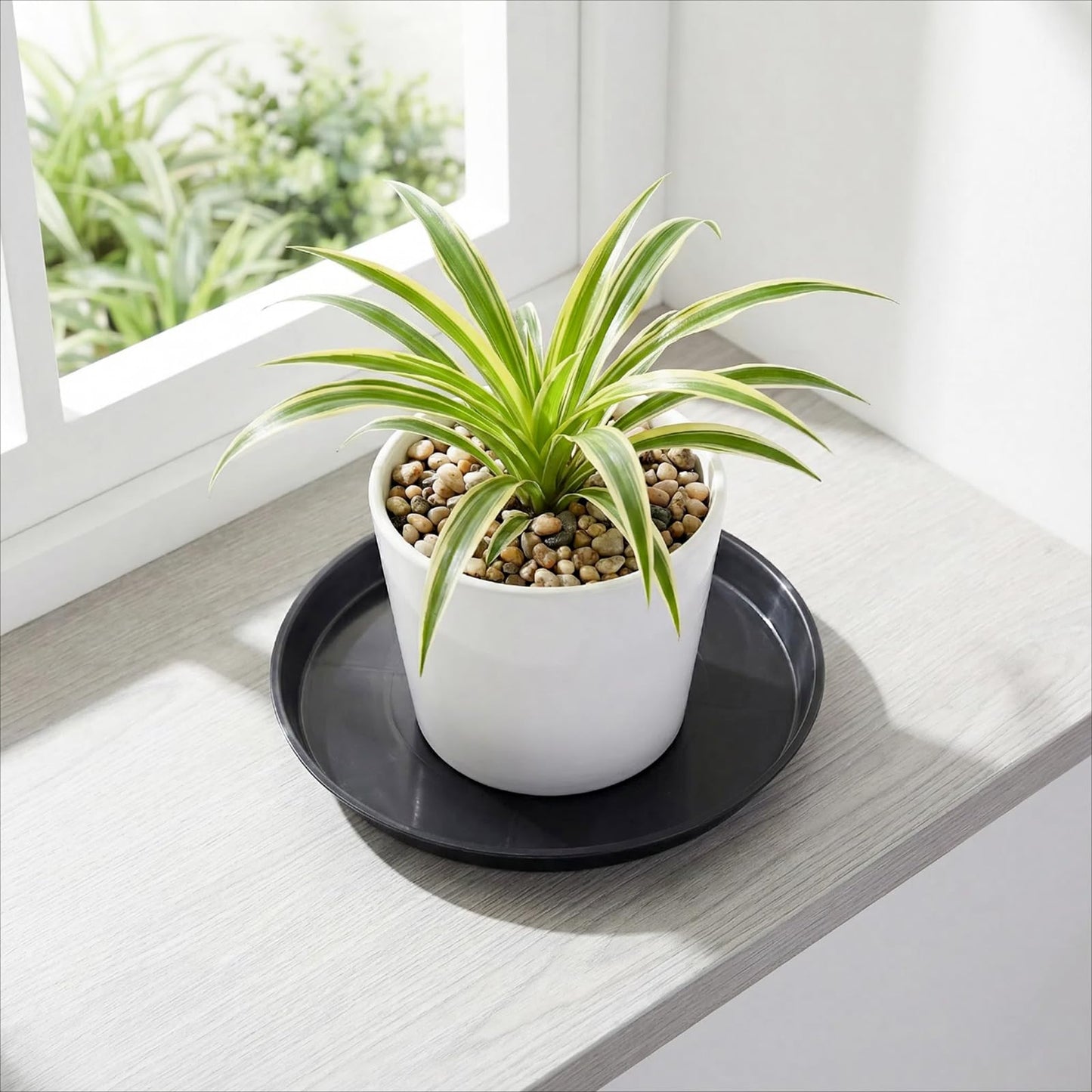 Tulpeed 30 Pack Plant Saucer 8 Inches Plant Trays for Pots Plastic Round Drip Trays Flower Pot Saucers Black Planter Water Tray Plant Drainage Tray, Black