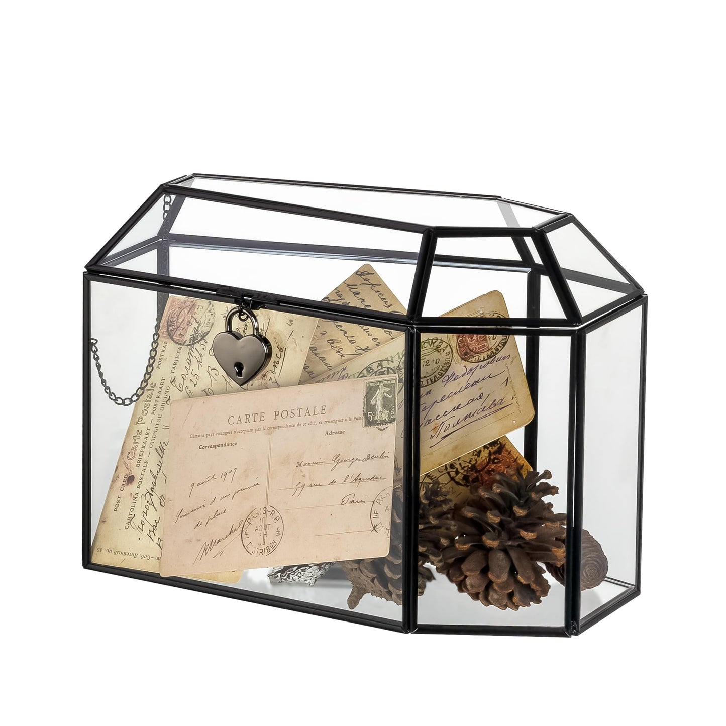 NCYP Gothic Glass Box with Swing Lid and Lock, Geometric Keepsake Card Display Organizer for Wedding Party - Halloween Decoration, Black Coffin-Shaped, 10.4" x 5.7" x 7.5" (Glass Box Only)