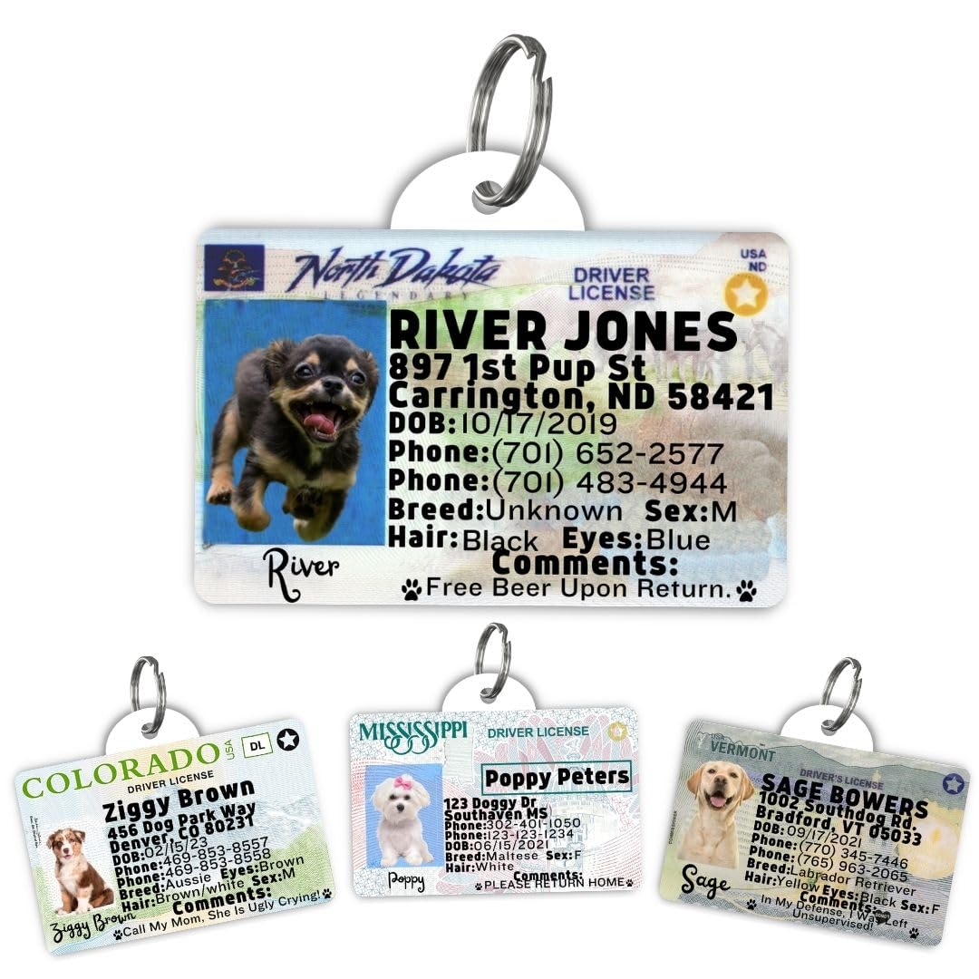 Dog Tags Personalized, Dog ID License Tag for Pets (Washington, Tag)