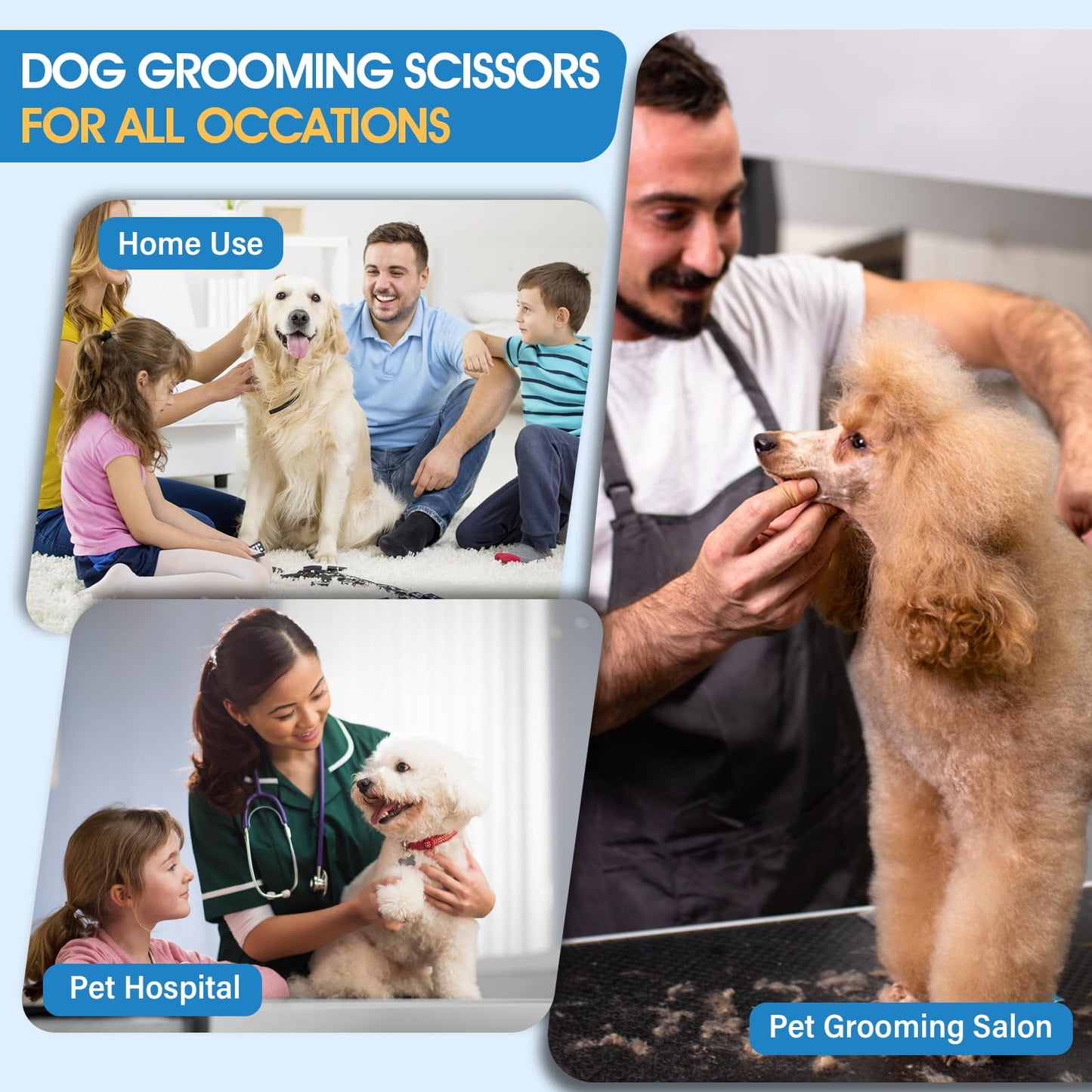 JASON Professional 6 in 1 Dog Scissors Kit - 7.5" Thinning, Chunker, Straight, Curved Shears and Comb for Cat, Rosegold