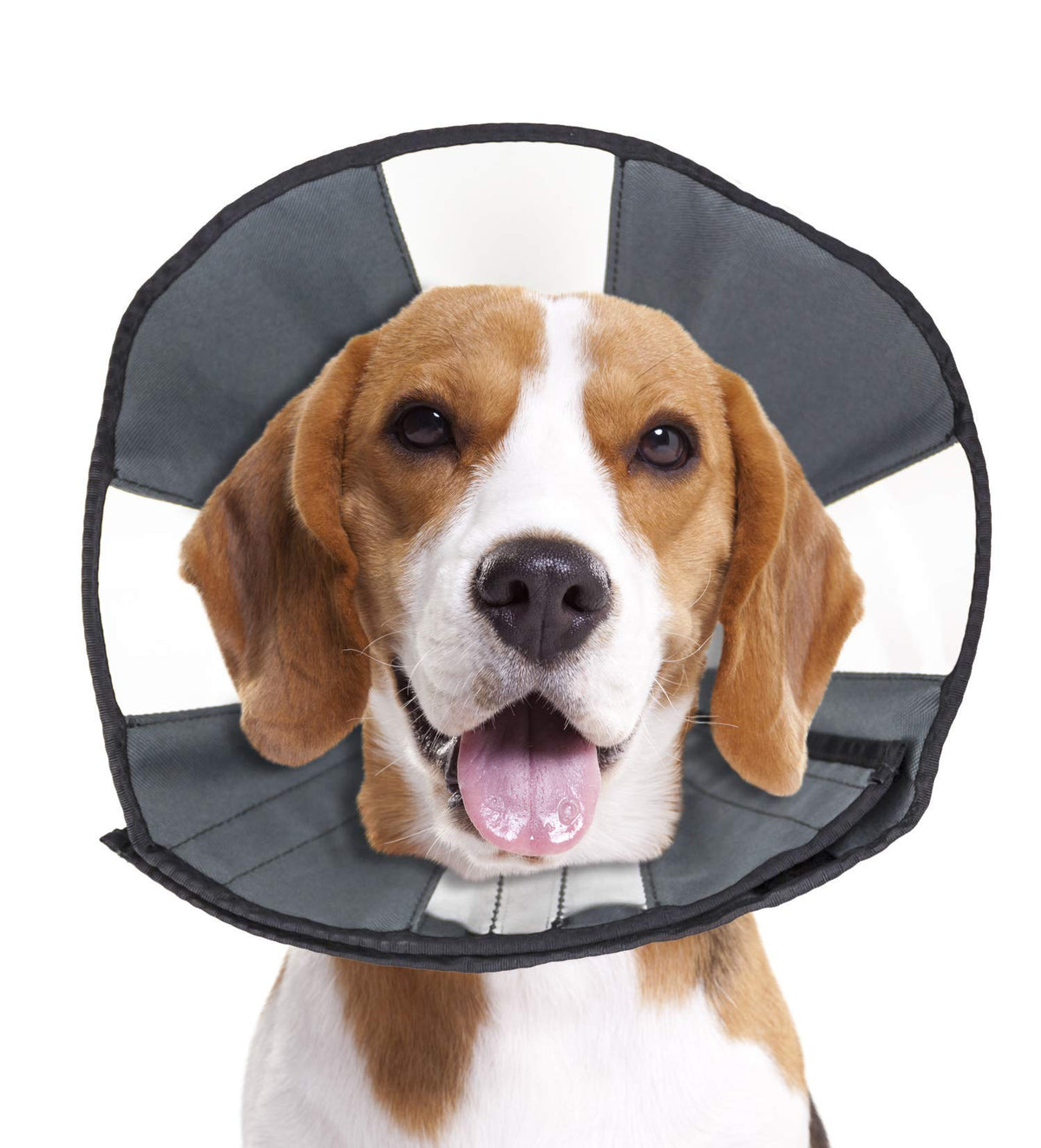 ZenPet Recovery Cone E-Collar for Dogs & Cats – Soft, Comfortable, Safe & Stress-Free Healing After Surgery, Adjustable Design, Secure Custom Fit (Large)