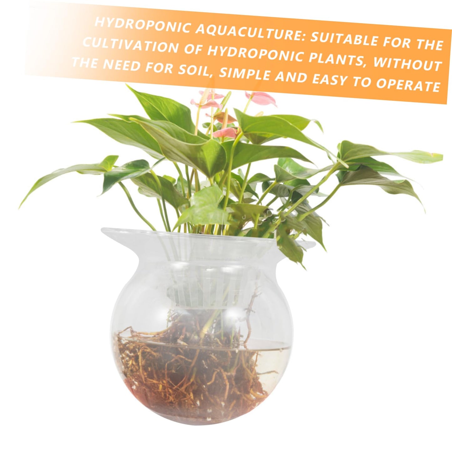BAZEITFLOW 2pcs Glass Vase for Hydroponic Plants Decorative Desktop Flowerpot Modern Terrarium Centerpiece for Home Office Decor for Plant