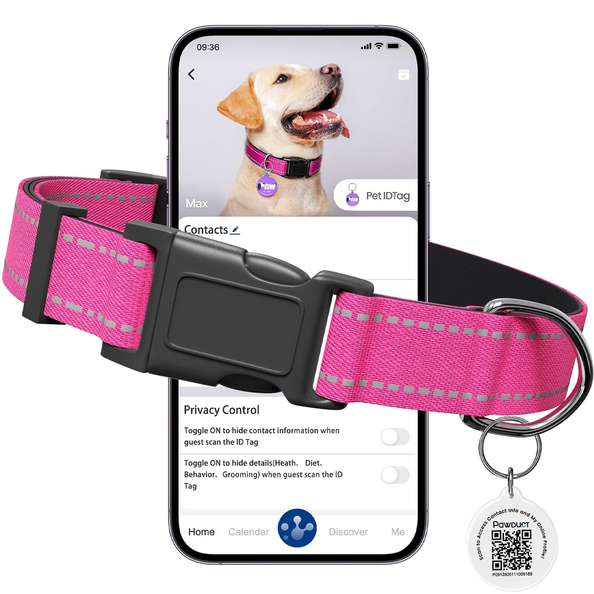 Pawduct Personalized Dog Collar with QR Code Tag, Puple, Small