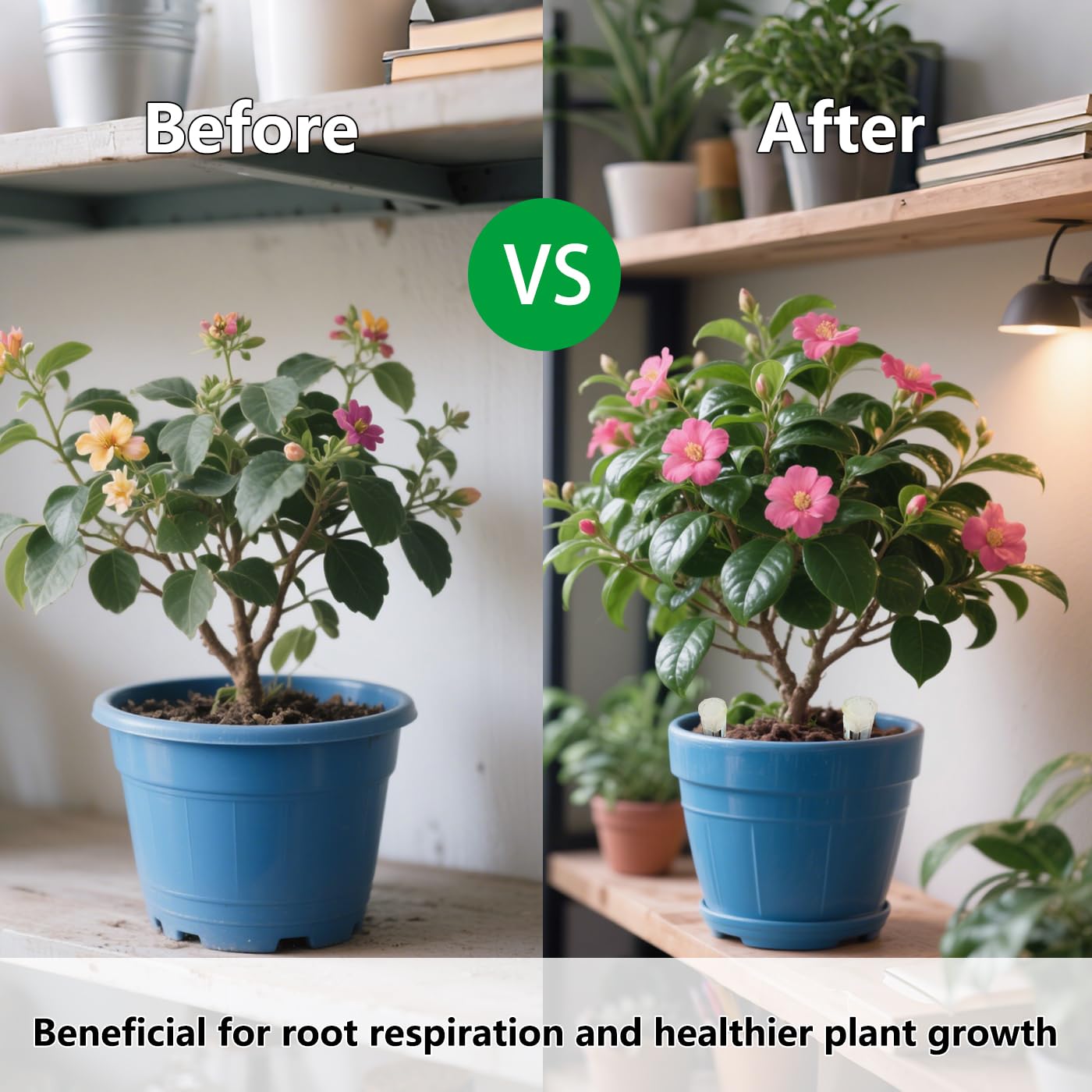 Belit 16 Pcs Plant Root Ventilation Stakes, Breathable Stake Beneficial for Root Respiration, Potted Plants Prevent Root Rot