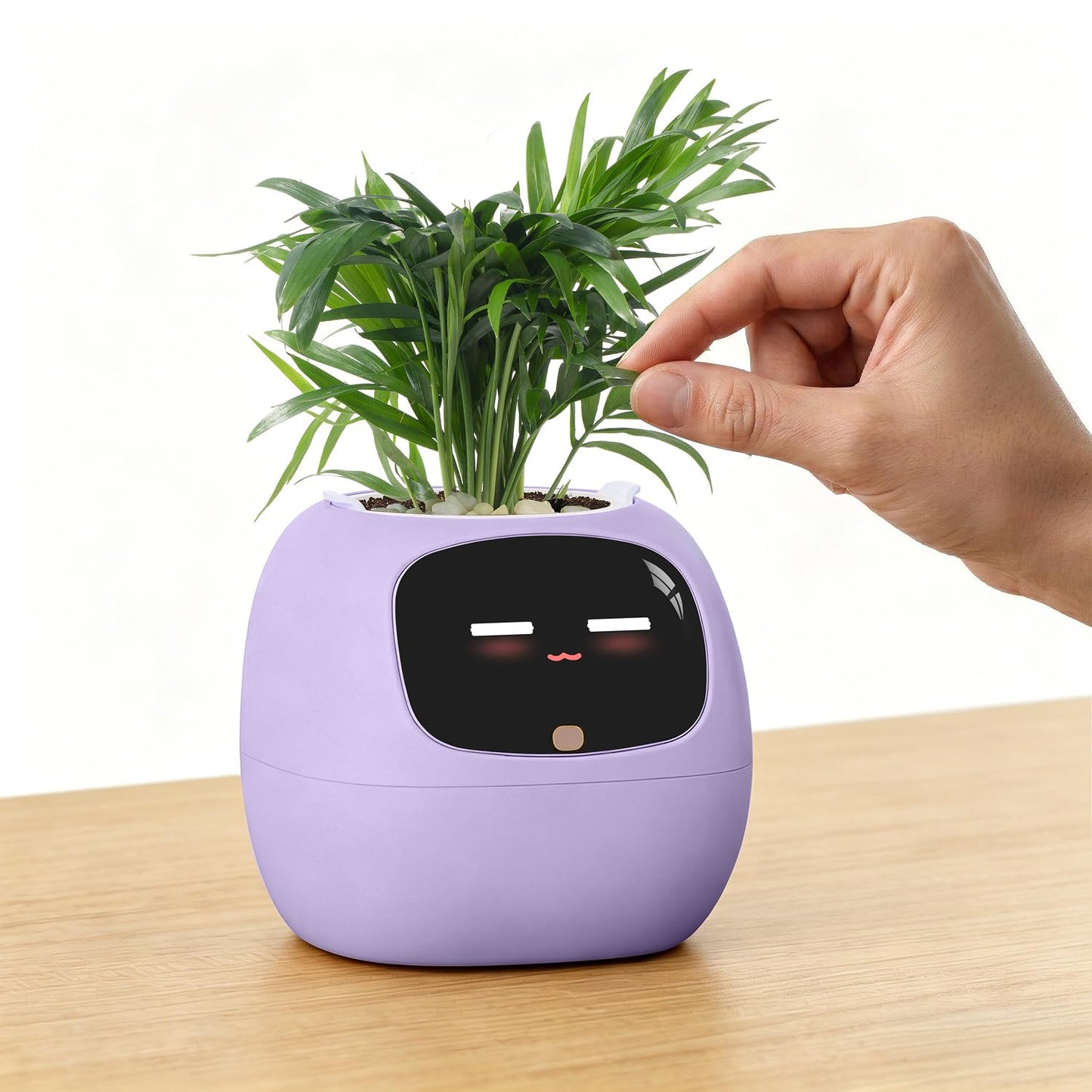 PLANTSIO Ivy Interactive AI Desk Companion, Smart Plant Pet with 100+ Expressions, Cute Indoor Planter for Office Decor, Unique Gift for Plant Lovers & Coworkers(Violet)