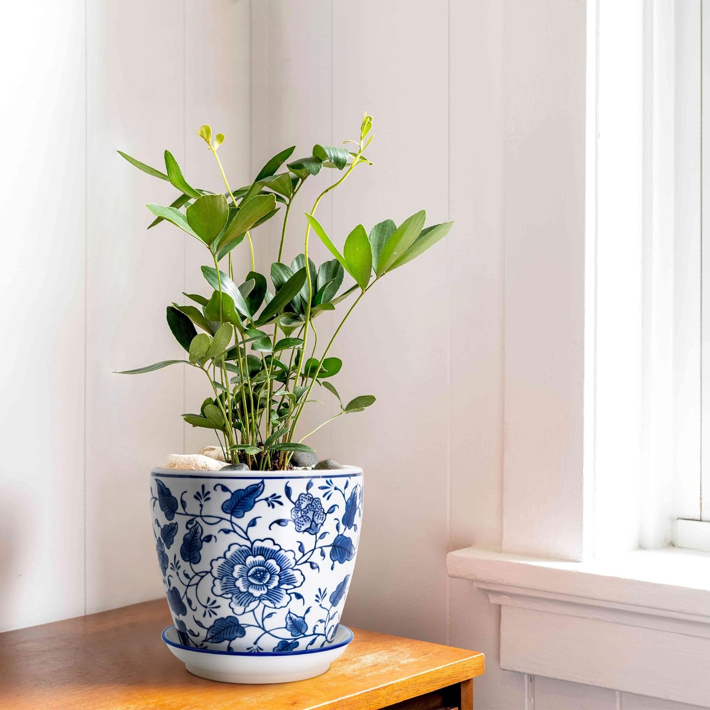 HakkaGirl 8 inch Ceramic Planters for Indoor Plants, Chinoiserie Decor Ceramic Pots for Plants Flower Plant Pots Indoor with Drainage and Saucer, Blue and White