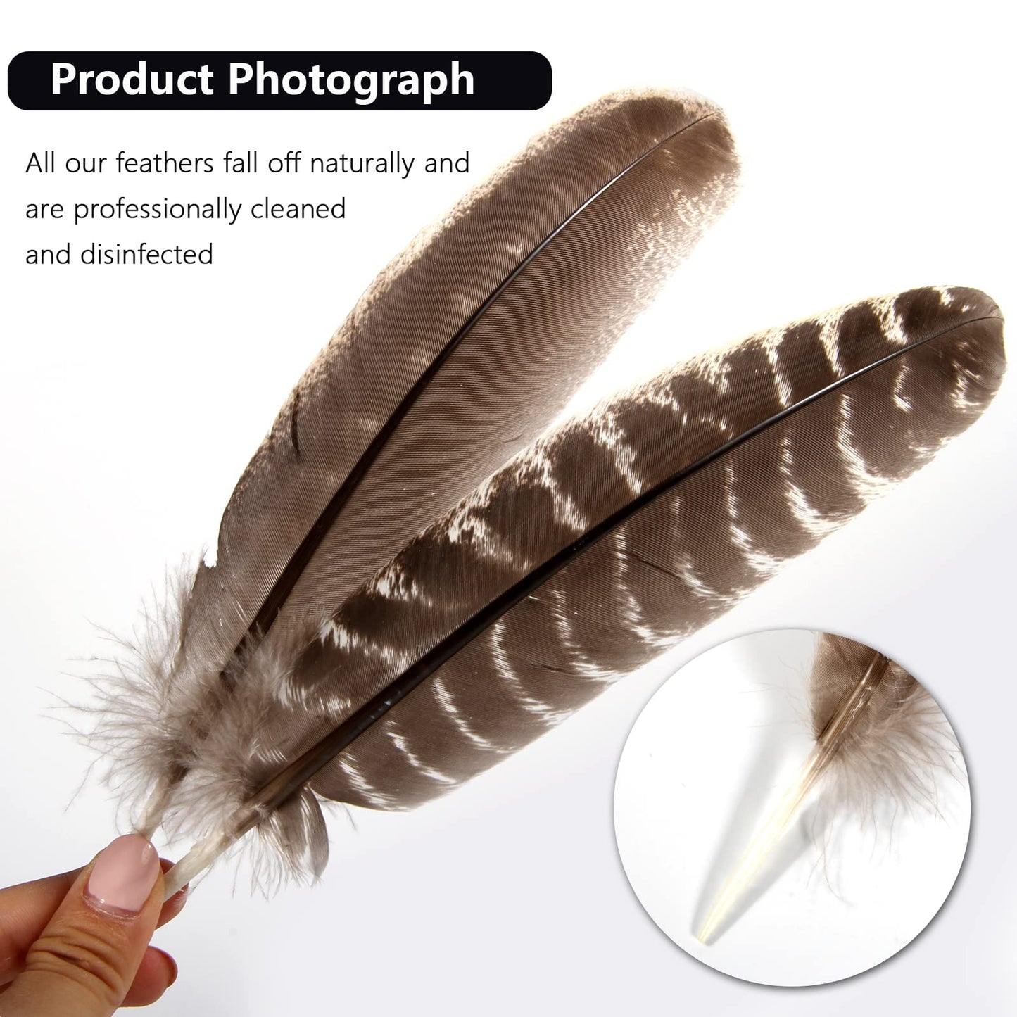 THARAHT 24pcs Natural Wild Turkey Wing Feathers Quill Bulk 8-10inch 20-25cm for DIY Crafts Project Collection Wedding Decoration Wild Turkey Tails Feather