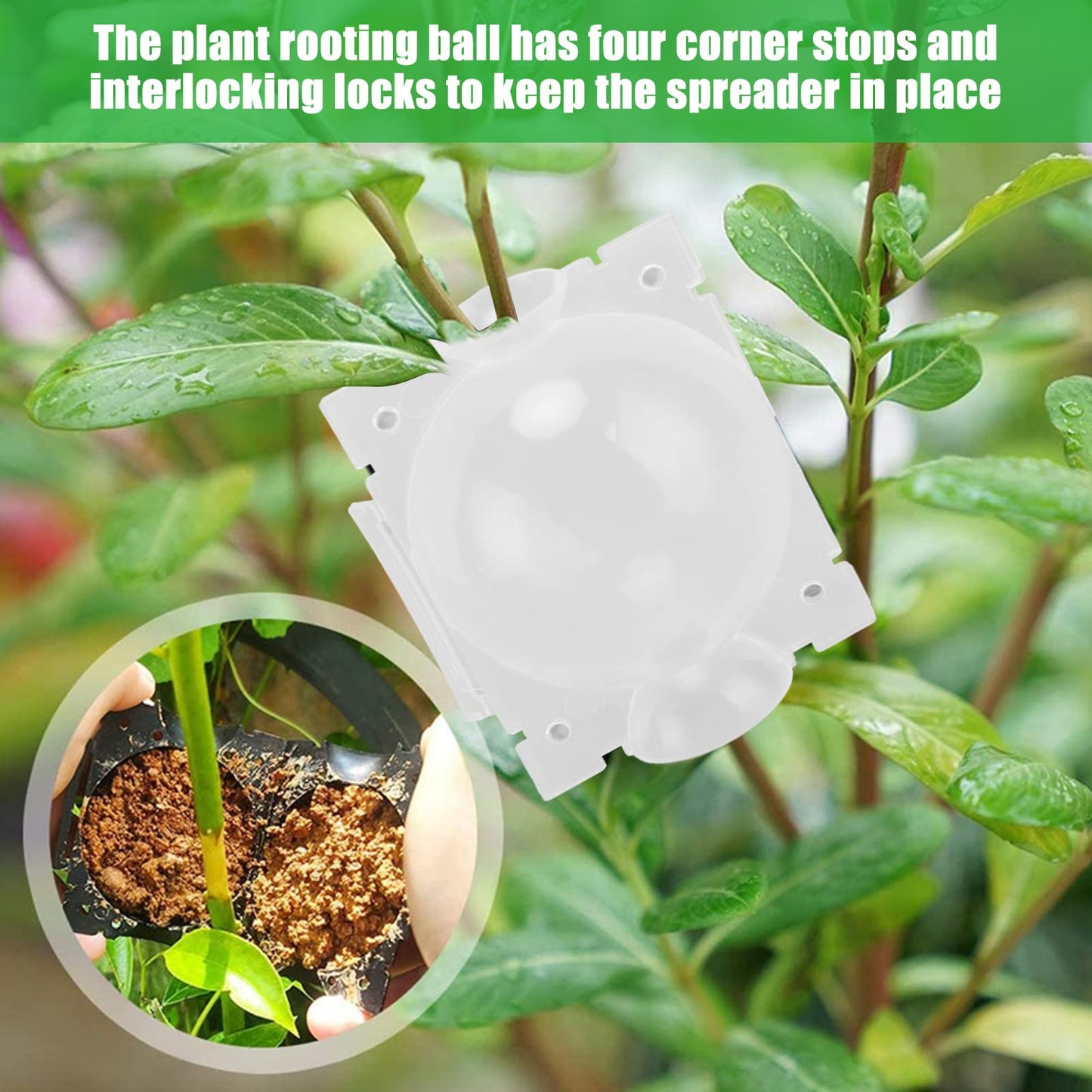 Aqur2020 Plant Root Growing Box, 10 Pack, Reusable Grafting Tools, PP Material, 2.7x2.2 Inch, for Indoor and Outdoor Plant Propagation