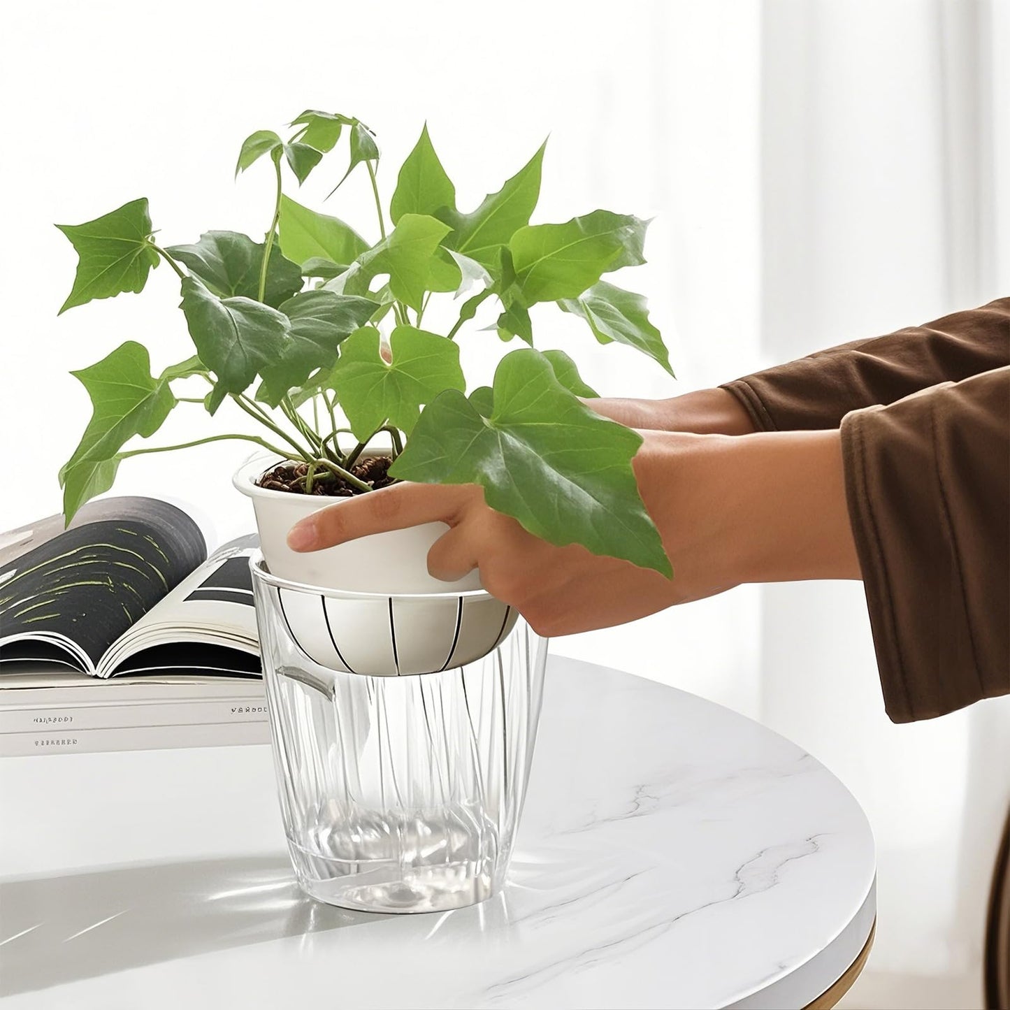 Etvski Self Watering Planters - 2 Pack, 6 Inch Transparent Flower Pots for Indoor Plants, Perfect for African Violet, Monstera, Succulents, Herbs & Decorative Flowers