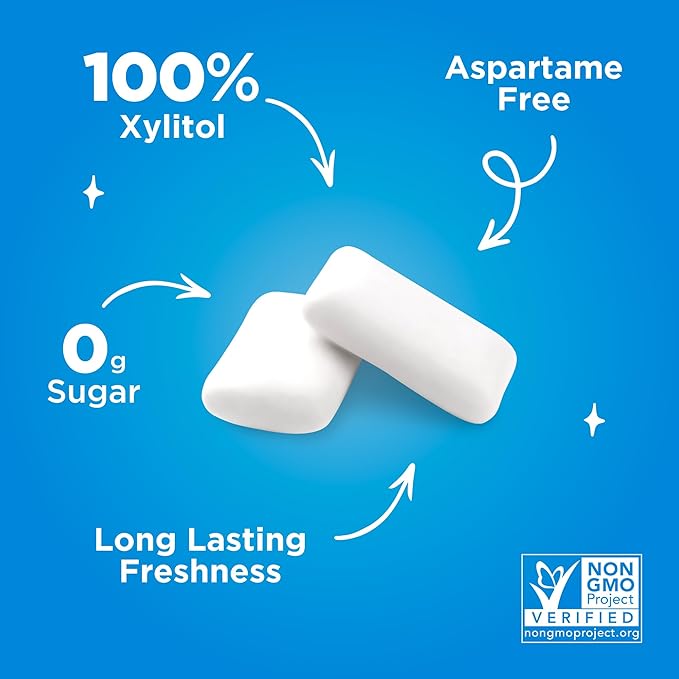 PUR Gum | Aspartame Free Chewing Gum | 100% Xylitol | Natural Peppermint Flavored Gum, 55 Pieces (Pack of 12)