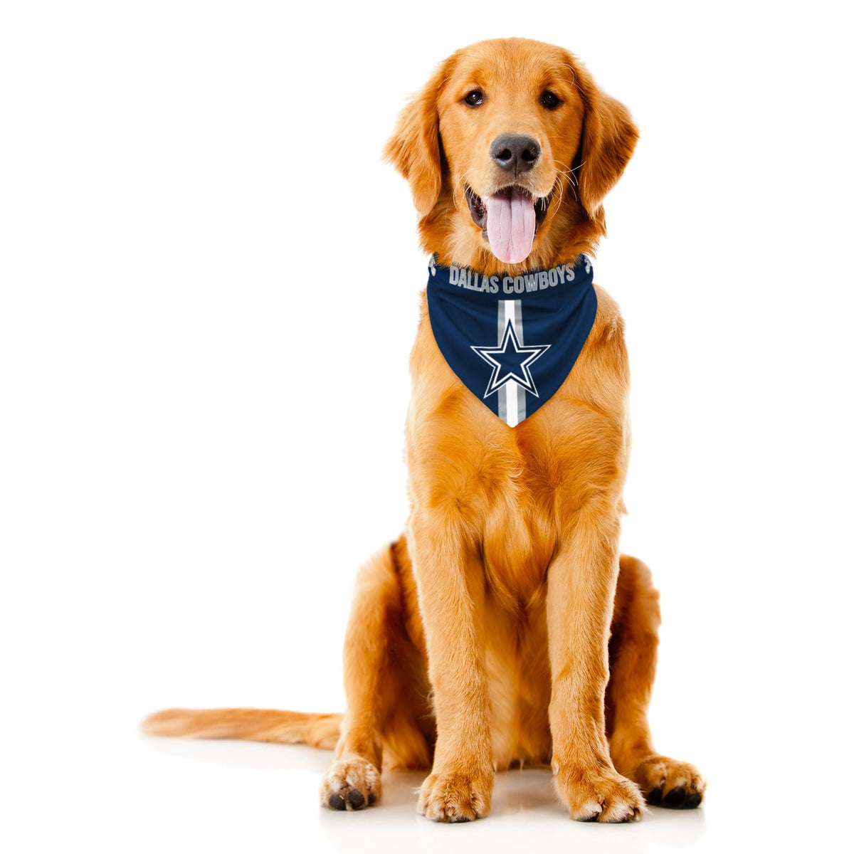 Littlearth NFL Baltimore Ravens Pet Bandana, Team Color, Large