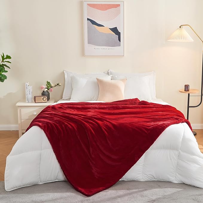 SOCHOW Sherpa Fleece Throw Blanket, Double-Sided Super Soft Luxurious Plush Blanket Twin Size, Classic Red, 60x80 inches