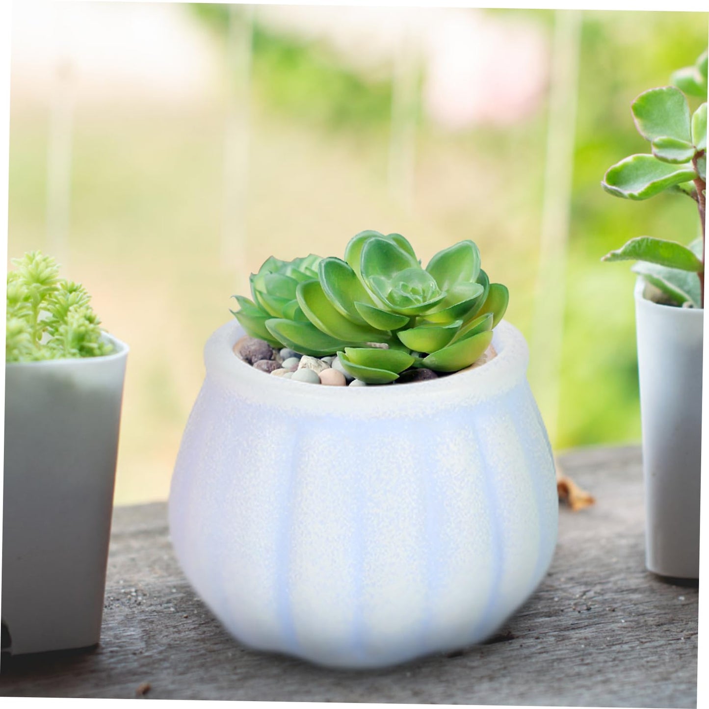 ORFOFE 3Pcs Ceramic Succulent Flower Pots Creative Desktop Decor Stylish Plant Planters for Home Gardening for Plant Lovers