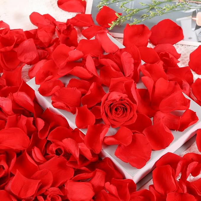 Dried Real Rose Petals, Natural Preserved Dry Flower Petals for Wedding Party Dinner Table Decor, Romantic Night for Her Set, Engagement, Bridal Shower, Valentine's Day, Confetti (1.6oz, Red)