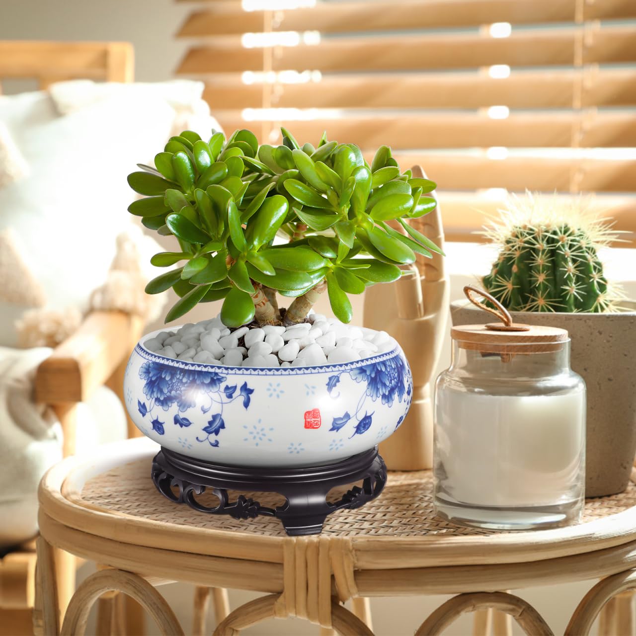 Toddmomy Ceramic Bonsai Planter Pot with Water Storage Base Non-Hole Hydroponic Container for Daffodils Succulents Indoor Outdoor 7.08X6.29X4.13In