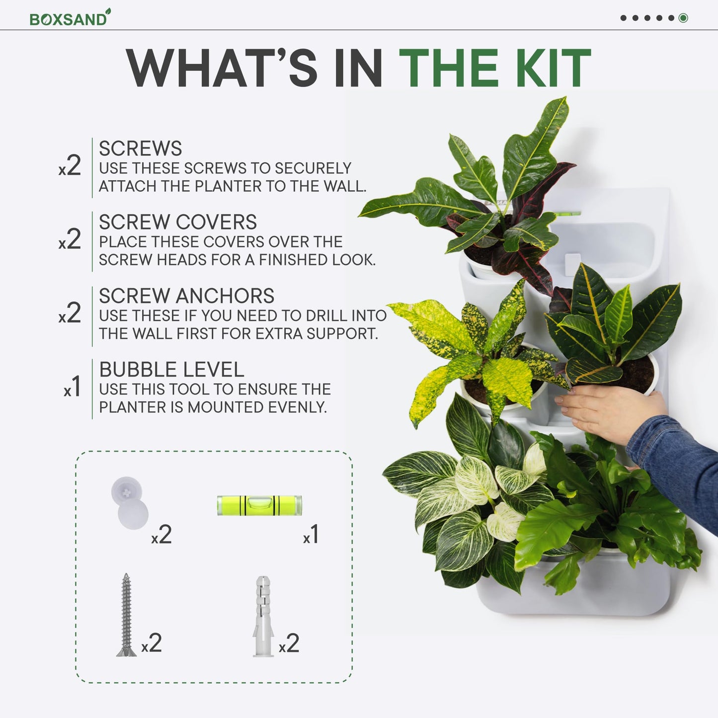 BOXSAND-6 (12"x26") Living Wall - Wall Planter, Vertical Garden for 6 Plants, Indoor/Outdoor, 2 Screws Install (White)