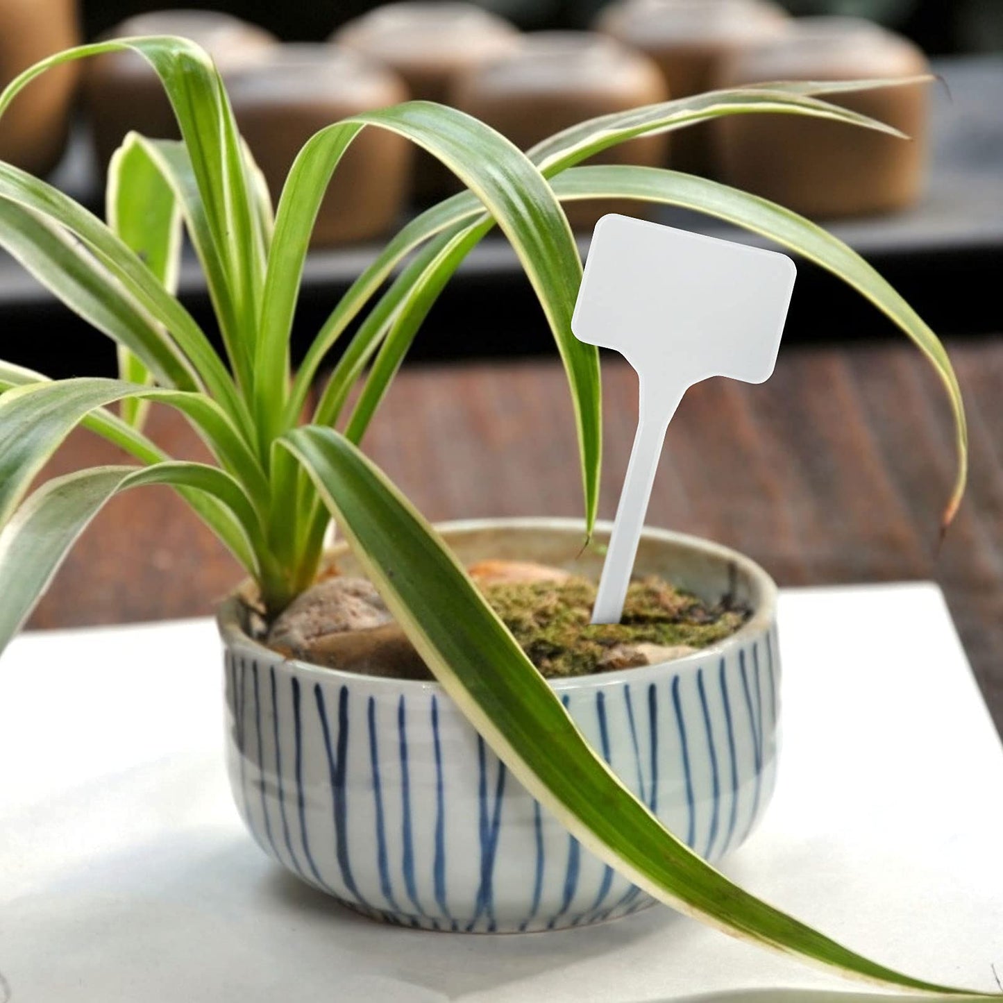 KINGLAKE GARDEN Large Plastic Plant Labels 6 Inch 50 Pack White Sturdy Extra Large T-Style Plastic Plant Labels for Flower beds,Plant pots