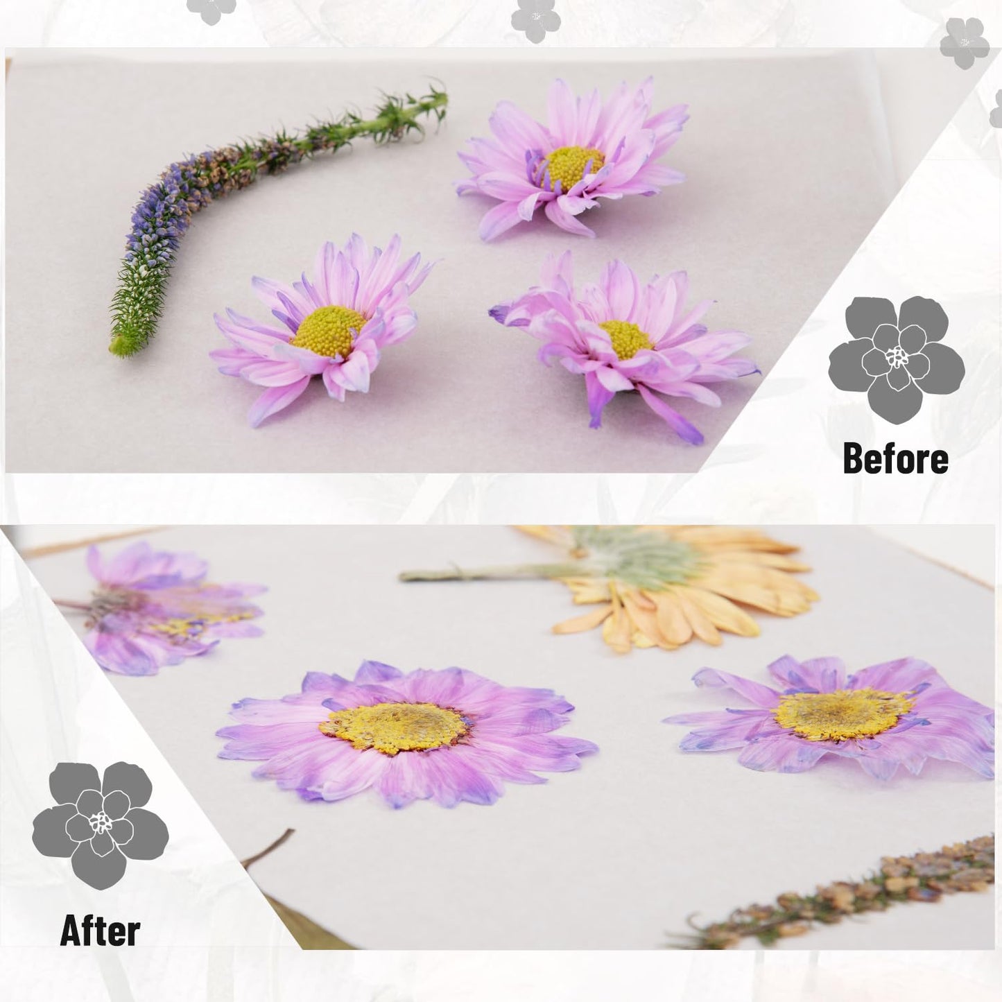 v2croft Flower Press Kit, Even Pressure 10" x 6" Wooden Flower Pressing Kit with 8 Layers for Dried Plant Preservation, DIY Arts, Gift for Craft Lovers