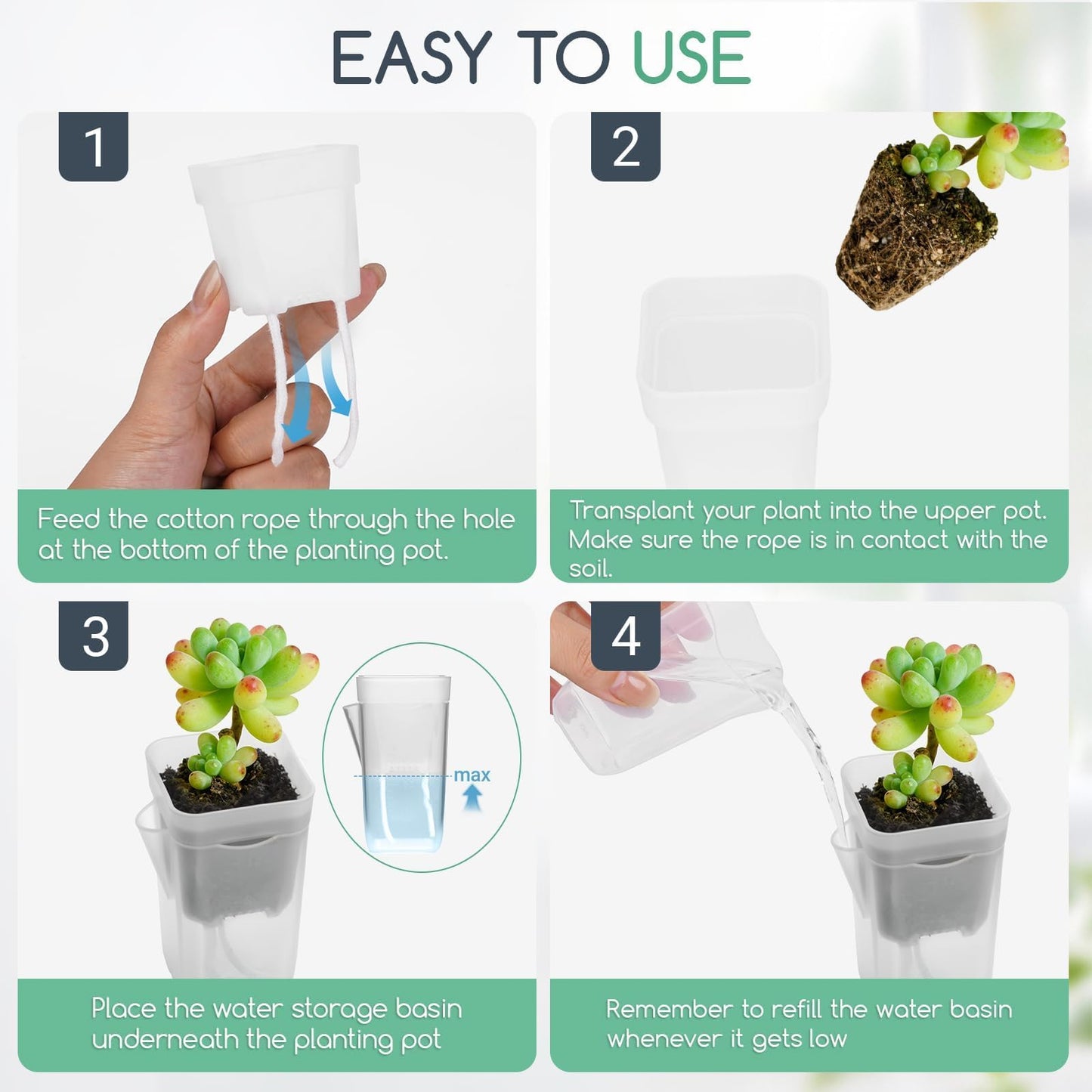 FIMXSD 12 Pack 2" Small Self-Watering Planter Pots - Mini Clear Seed Starter Pots with Visible Water Level, Plastic Nursery Pots for Succulents, Herbs, and Propagation - Includes 12 Plant Labels
