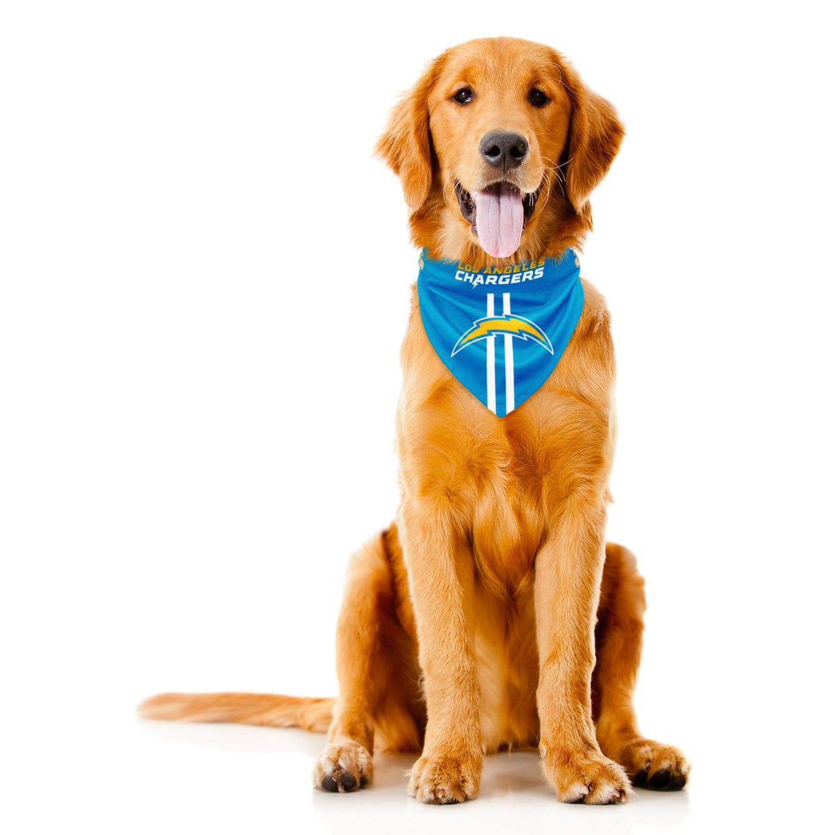 Littlearth NFL Denver Broncos Pet Bandana, Team Color, Small