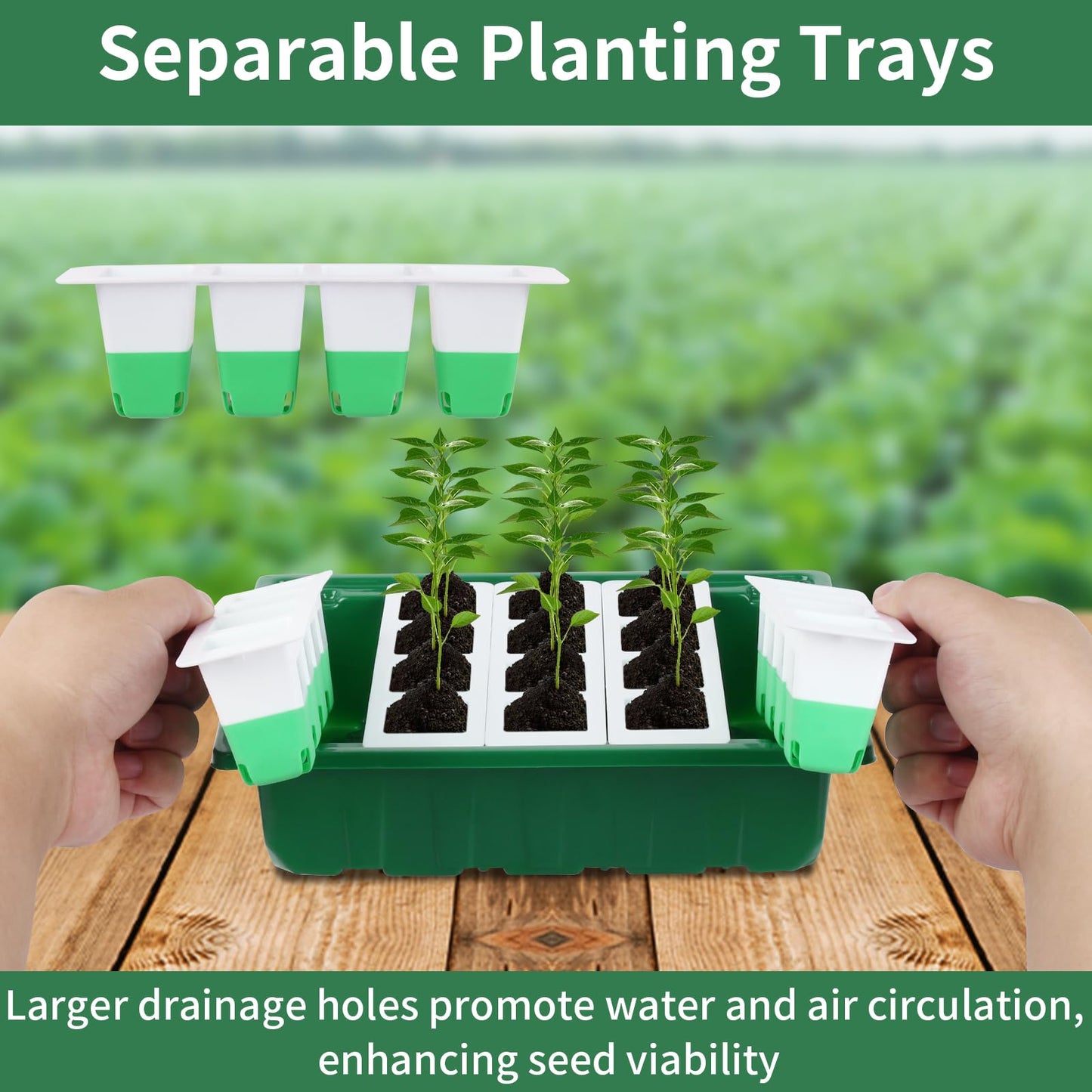 Sondiko Seed Starter Tray with Soft Silicone Cells, 80 Cells Seedling Trays Seed Startering Kit, 4 Pack Plant Starter Trays with Humidity Dome, Base Mini Greenhouse Germination Kit