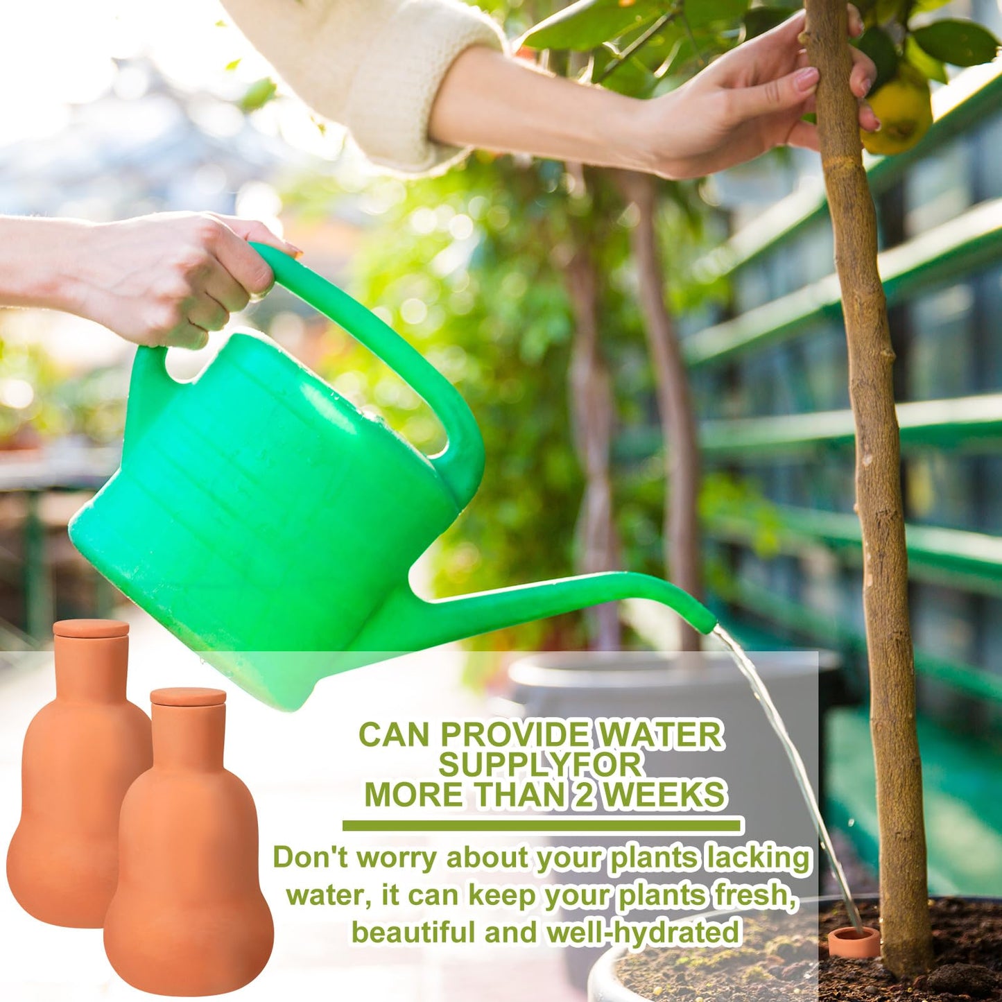 Blushtier 2 Pcs Olla Terracotta Watering Pot with Lid Large15 oz Terra Cotta Self Watering Pots for Indoor Outdoor Plants Self Irrigate Spikes Ceramic Plant Waterer Set
