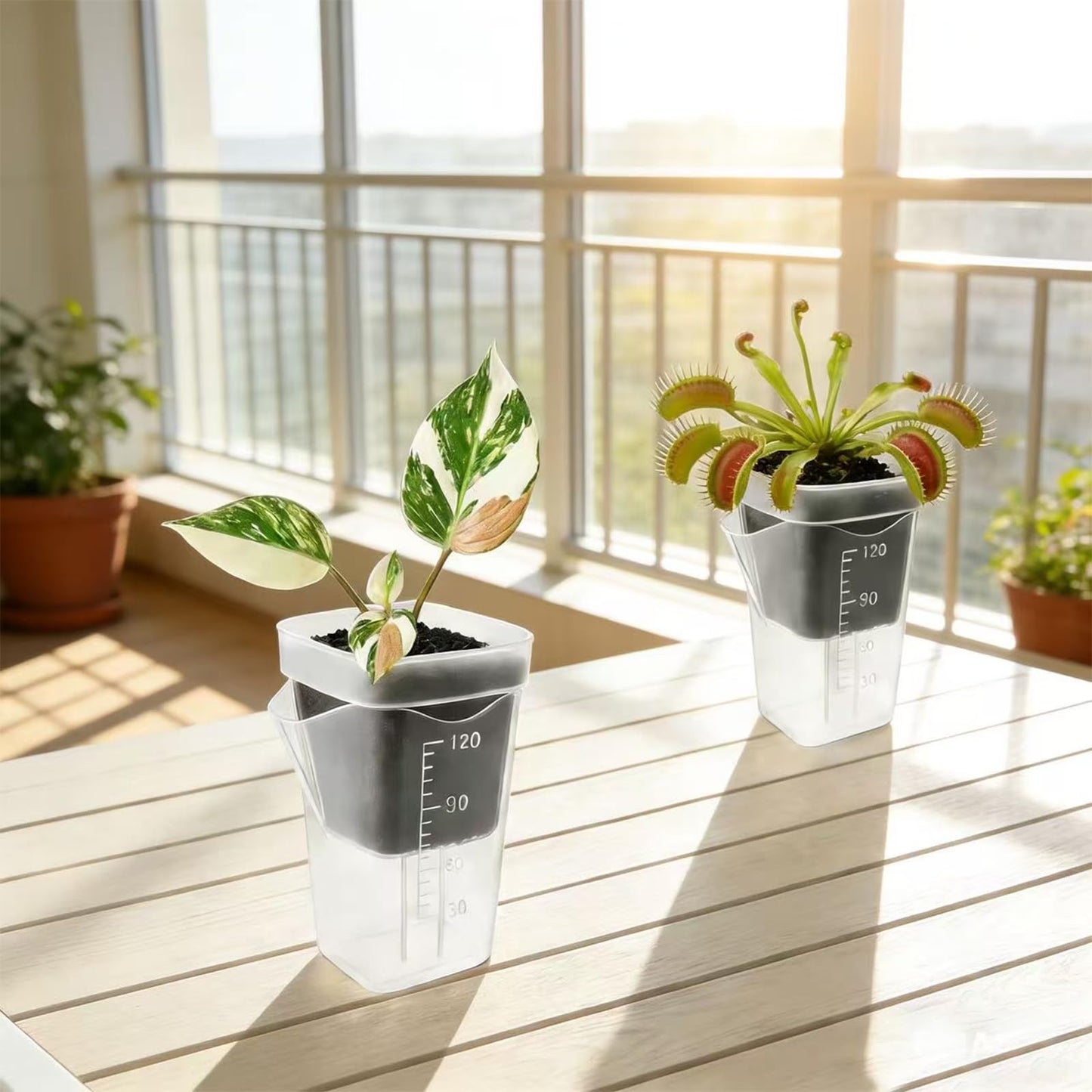 ckslkek 12 Pack 2.5 Inch Small Self Watering Pots for Indoor Plants with DIY Stickers, Clear Plastic Propagation Pots, Semi Hydroponic Pots for Leca PON, Includes 12 Plant Labels