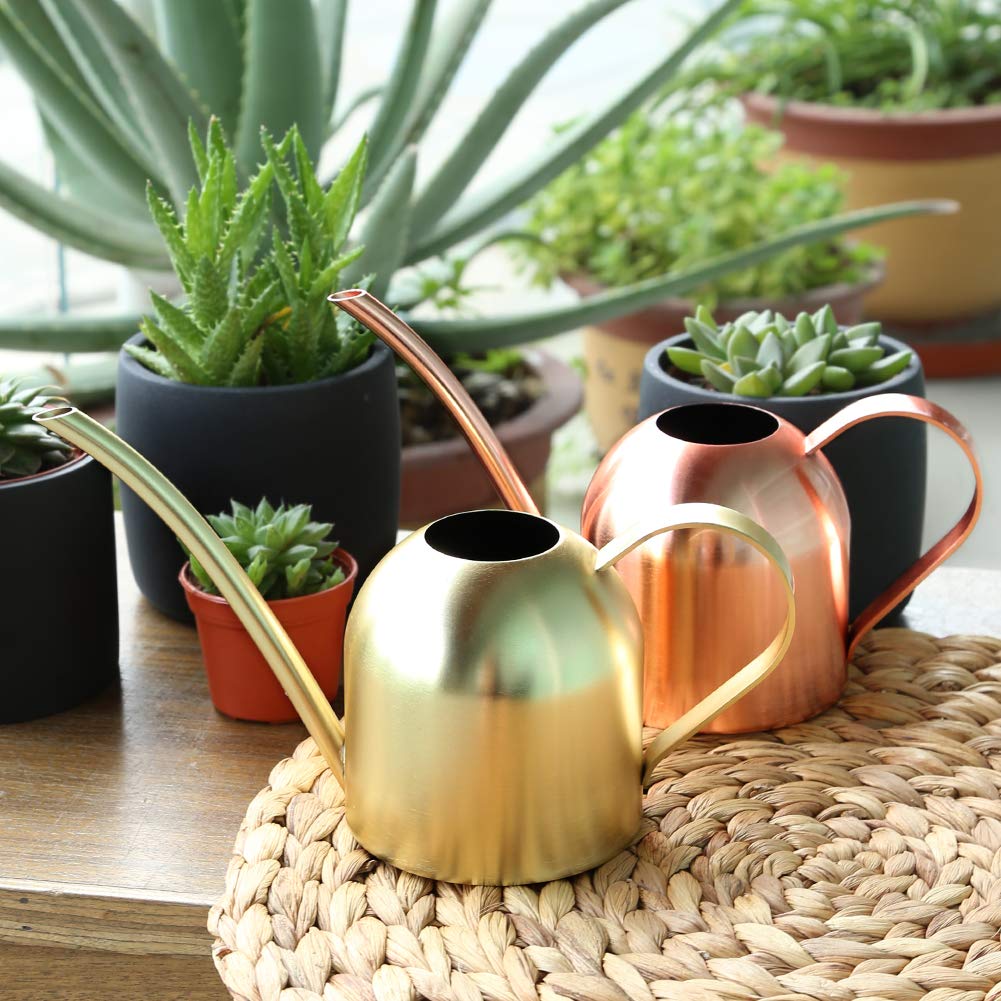 E.Palace Small Watering Can Indoor Plants Metal Watering Cans 15oz Capacity Cute Design for House Plants & Gardens (Rose Gold 15 oz)