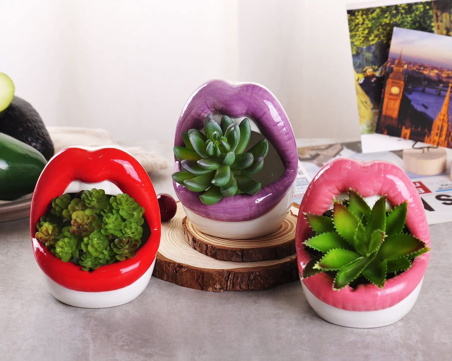 WHJY Sexy Lips Planter Pot, Ceramic Succulent Planter - Pink