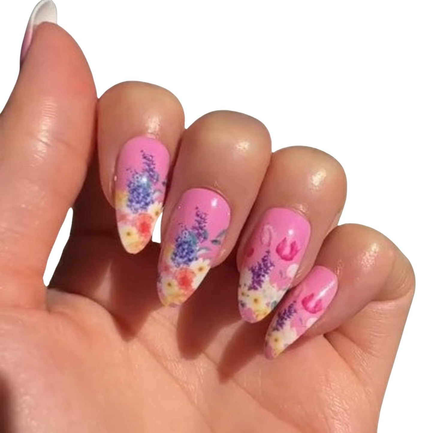 PaintLab Press On Nails - Capri Pink Almond Fake Nails, 24 Nails in 12 Sizes with Glue, Reusable Salon Quality Press On Nails