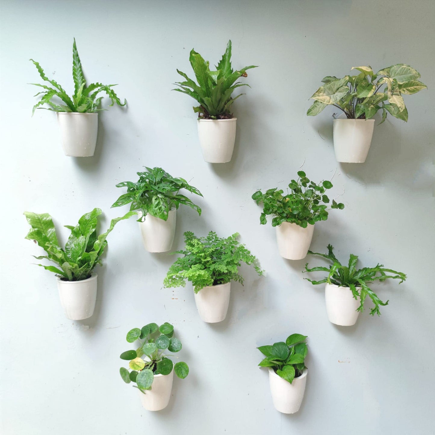 LaLaGreen Bundle - 4" x 10 Pack + 4" x 10 Pack Black and White Self Watering Plastic Pots Wall Mount Plant Holder, Modern Hydroponic Wall Hanging Pot Vertical System Living Plant Wall Garden