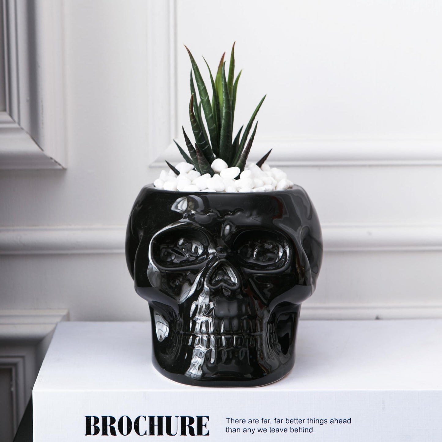Tanvecle Skull Planter Pots, Skeleton Vase for Succulent, Flowers, Gothic Centerpiece for Table, Punk Home Decor and Accessories, Halloween and Day of The Dead Decorations - Black