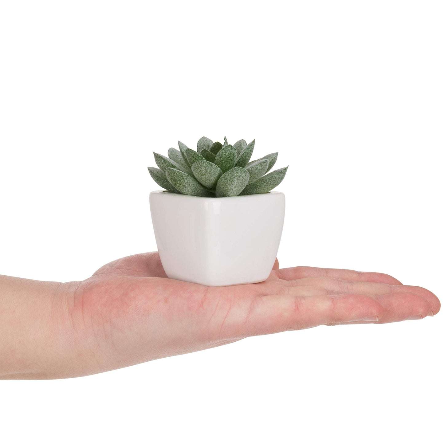 MyGift Set of 4 Mini Assorted Green Decorative Artificial Succulent Plants in Square White Glazed Ceramic Planter Pots