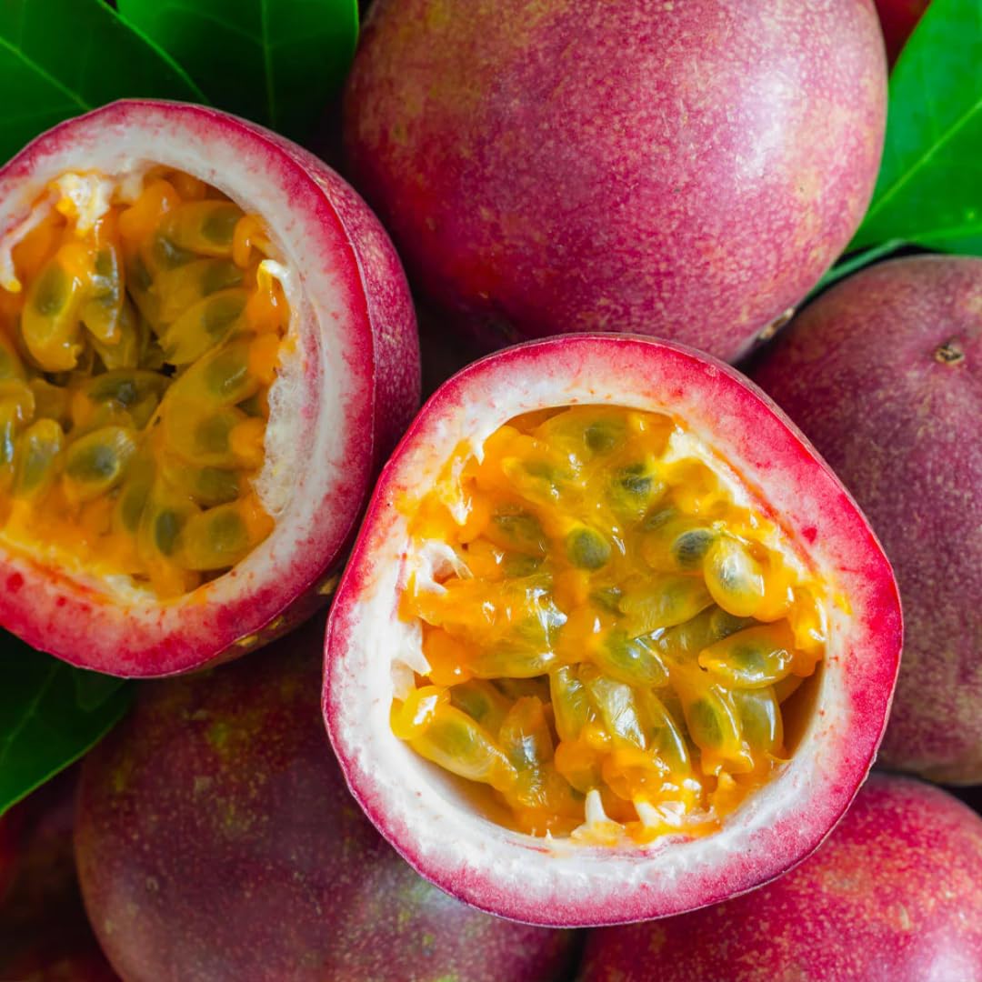 2 Passion Fruit Plant, Passion Fruit Tree, Purple Passion Fruit - Purple