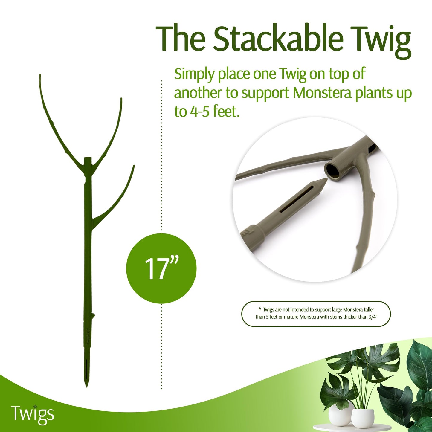 Twigs GA - Stackable Monstera Plant Support Stakes, Climbing Support for Indoor & Outdoor Use, Plant Accessories, Aesthetic Alternative to Moss Poles & Trellises – Monstera Green, 5 Pack, 17" L