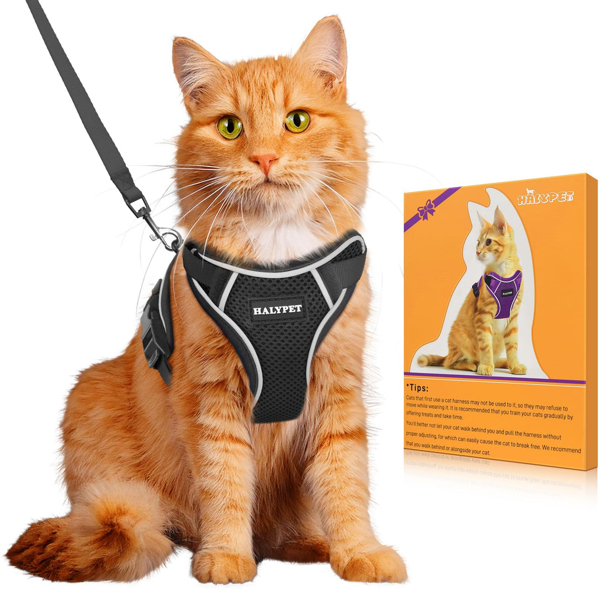 Cat Harness and Leash Set,Escape Proof Kitten Harness,Orange