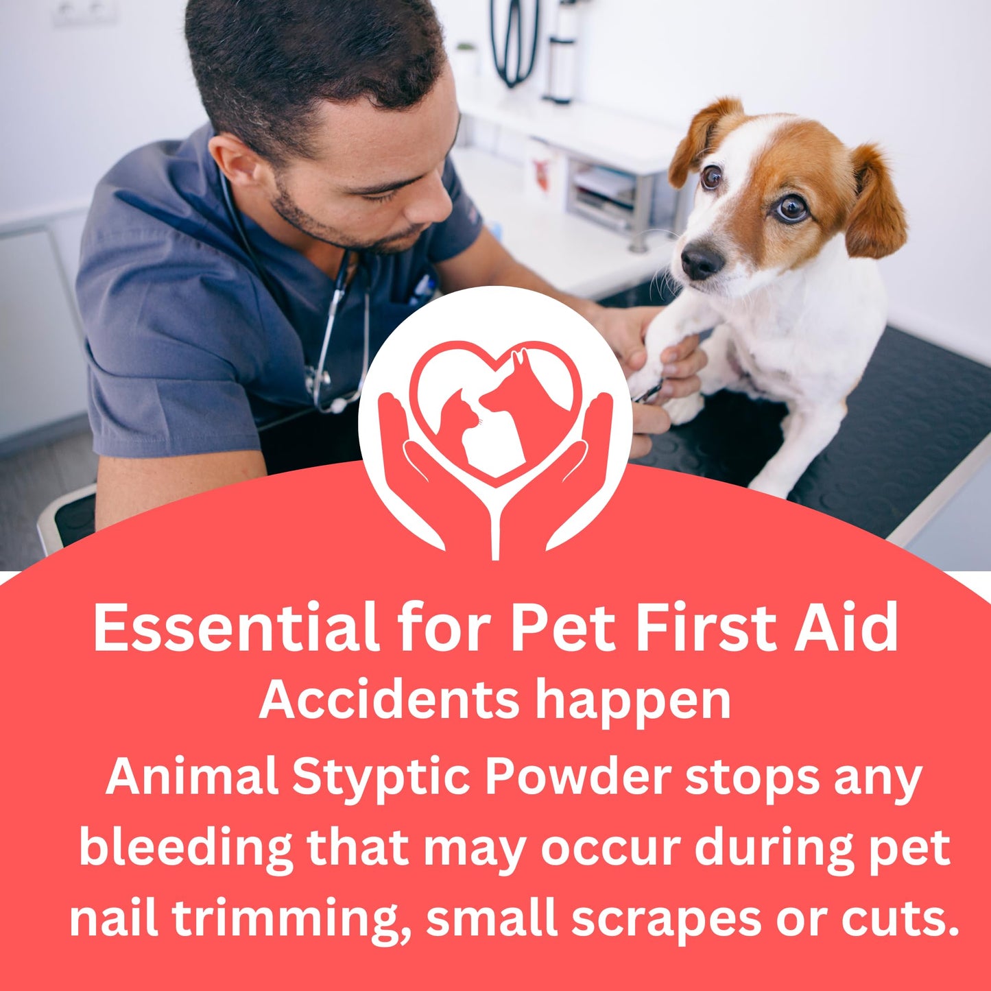 Pet Grooming & Care Kit with Styptic Powder – Dog & Cat Bath Brush, Finger Toothbrush Set, 1oz Pet Nail Stop Bleeding Powder – Complete At-Home Grooming Bundle (7, Multicolor)