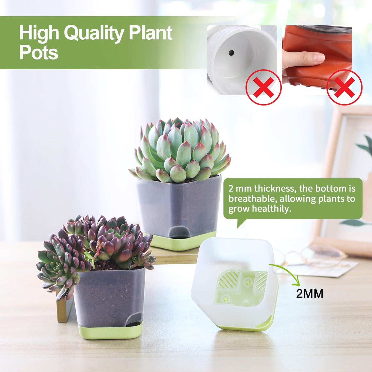 Oliz 20 Pack 3 Inch Plastic Succulent Pots with Drainage Holes & Saucers, Square Nursery Planters for Indoor Outdoor Plants, Half Clear Flower Pots