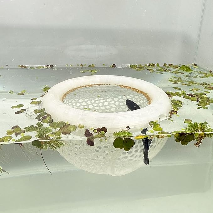 Aquarium Floating Betta Fish Skins, Betta or Shrimp Feeder, Cave and Hammock, Small Fish Feeding Rings, Aquarium Hiding Feeding Decorative Accessories (Cyan)
