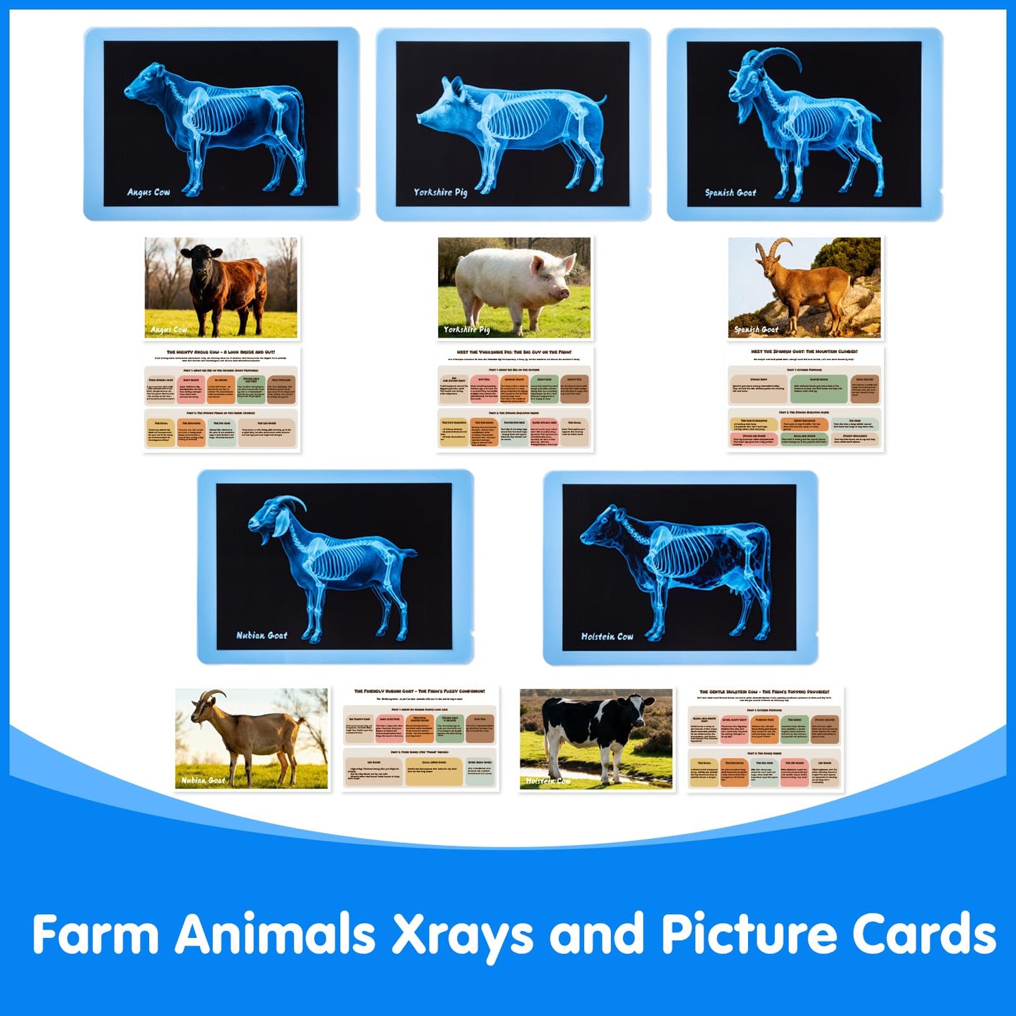 Odoorgames Farm Animal Xrays - 140 Pcs Translucent Pattern Blocks, Sensory Light Table Toy Set for Kids, Artist Tracing Light Box, LED Light Up Sensory Table Toys