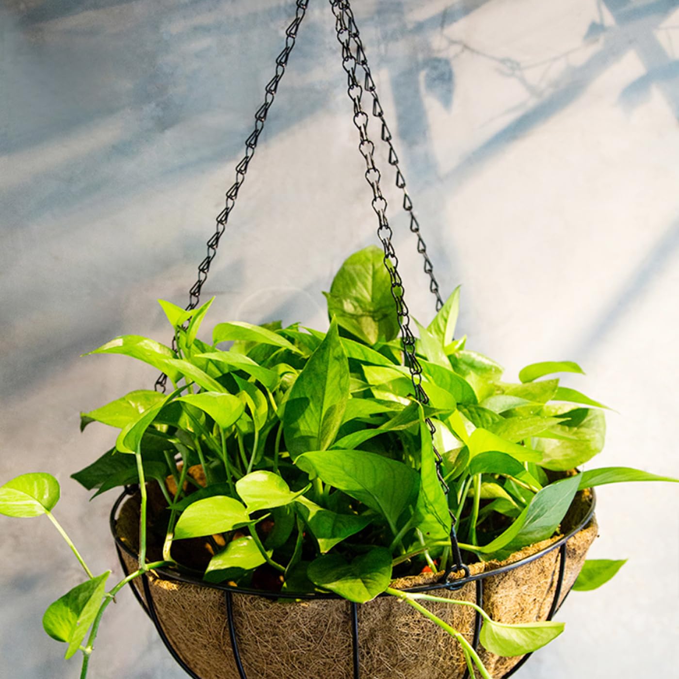 Flower Pot Chain 24 Inch Hanging Flower Basket Galvanized Replacement Chain 3 Point Garden Plant Hanger (4pcs(Black))