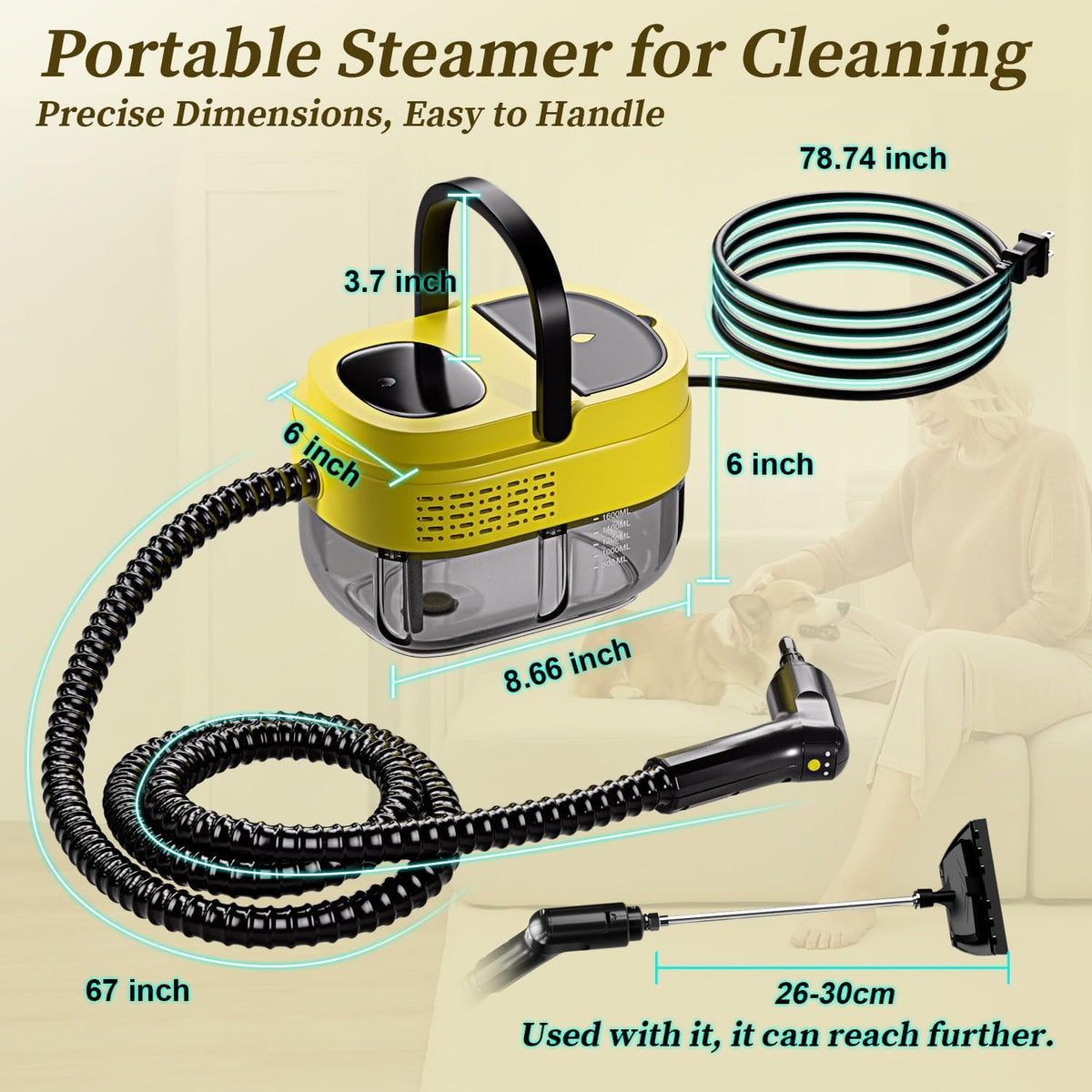 Steam Cleaner
