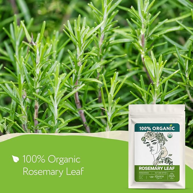Super Value Pack 5 LB - Organic Rosemary (Rosmarinus officinalis) – Loose Dried Leaves – Edible Grade for Tea, Seasoning & Herbal Use