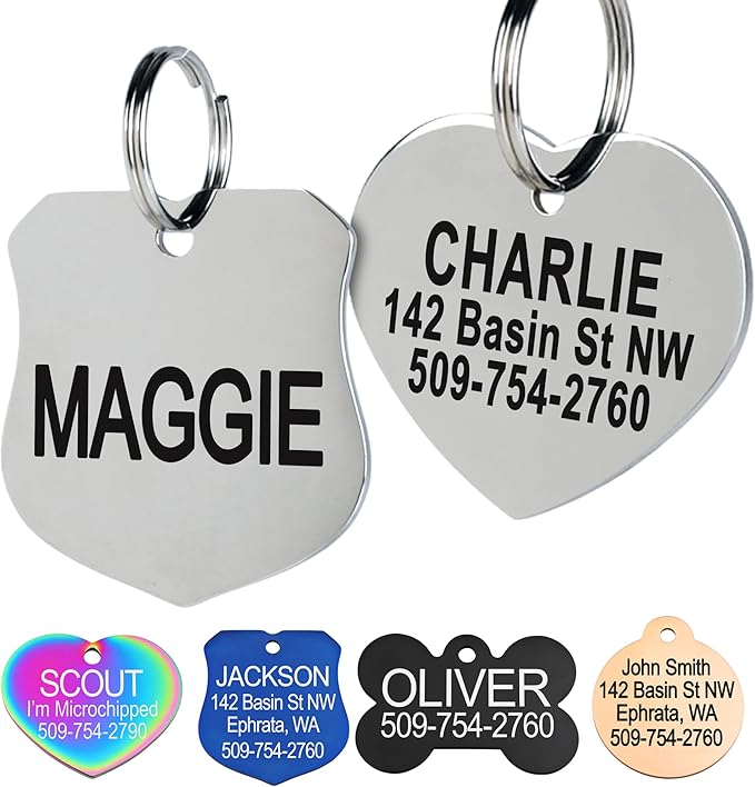 GoTags Stainless Steel Pet ID Tags, Personalized Dog Tags and Cat Tags