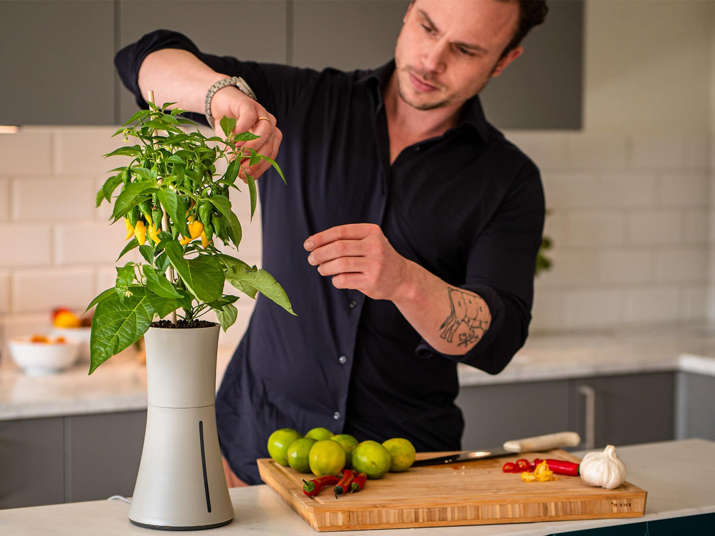 Botanium Hydroponic and Automatic Indoor Gardening Pot, Grey