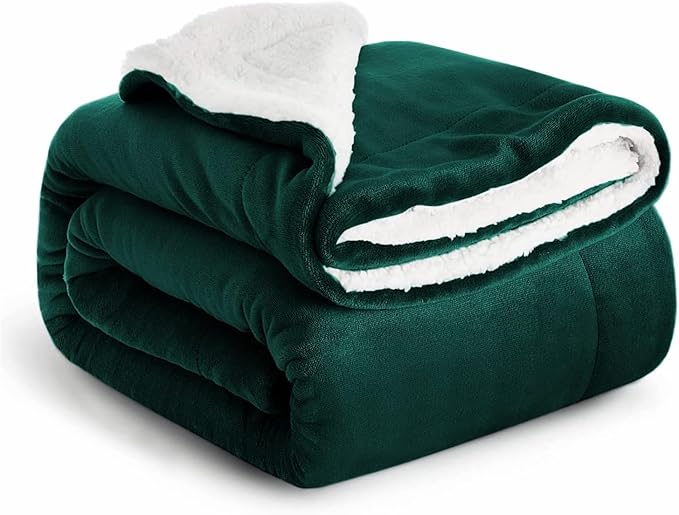 IR Imperial Rooms Sherpa Fleece Throw Blanket Twin Size for Couch - Thick and Warm Fluffy Emerald Green Blankets for Winter, Soft and Fuzzy Twin Blanket for Bed, 60x80 Inches