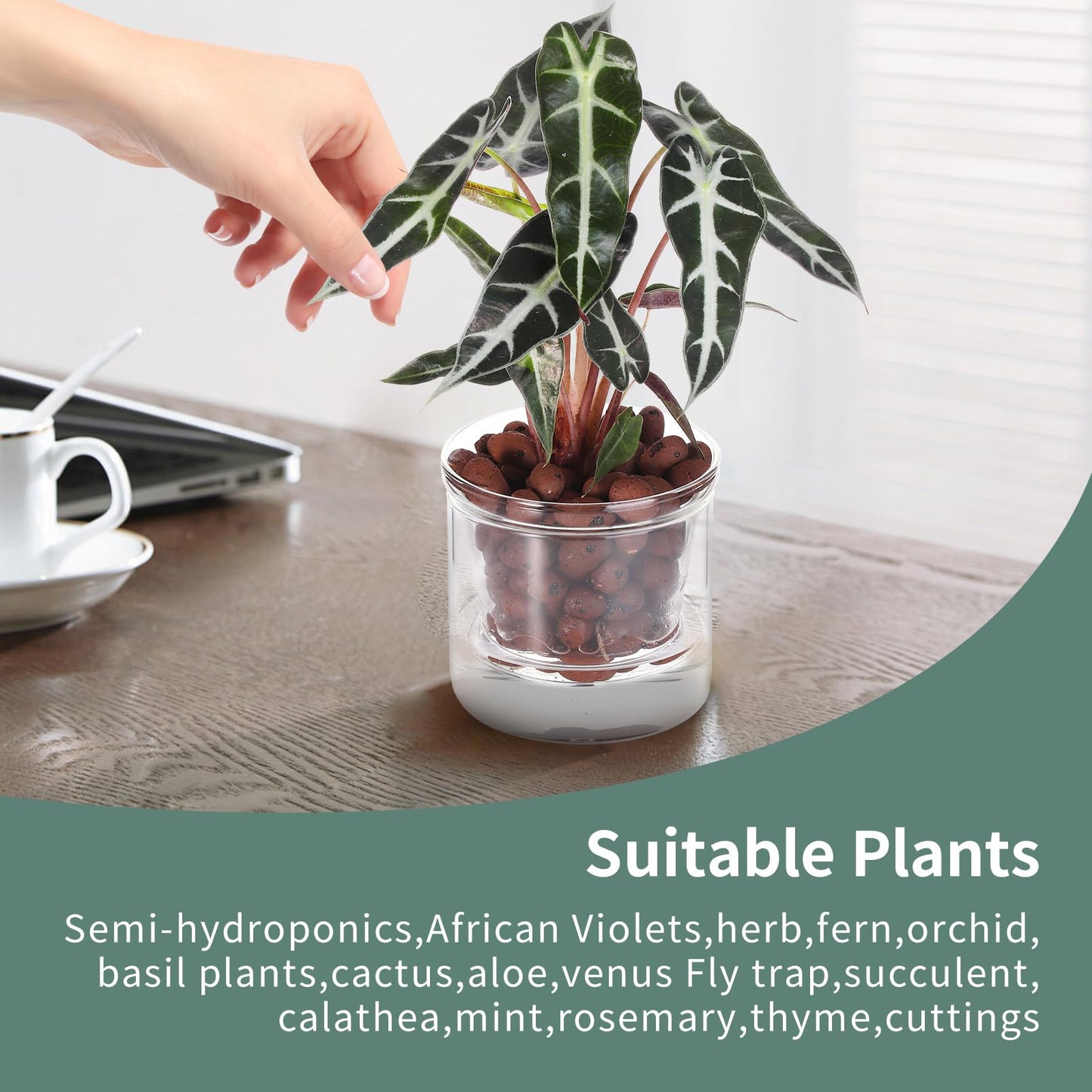 LAZUSAM 4 Inch Self Watering Pot,African Violet Pot,Bottom Watering Glass Planter for Indoor Plants and Progagation